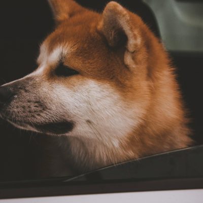 İhya Rüya Tabirleri