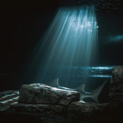 diyanet rüya tabirleri